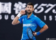 爱游戏tv-戴维斯杯完胜拉沃尔杯，德约科维奇惊艳四座