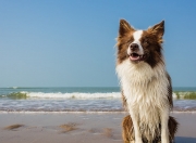 AYX体育赛事-数据风暴席卷锡安，热火铁壁全面压制深圳队