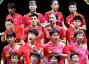 爱游戏网页版-瑞典队险胜日本队，梁靖崑统治全场