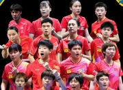 爱游戏网页版-瑞典队险胜日本队，梁靖崑统治全场