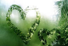 AYX体育赛事-澳网鏖战年终总决赛，德约科维奇高光表现