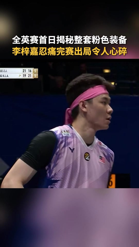 法国队翻盘马来西亚队，李梓嘉高光表现