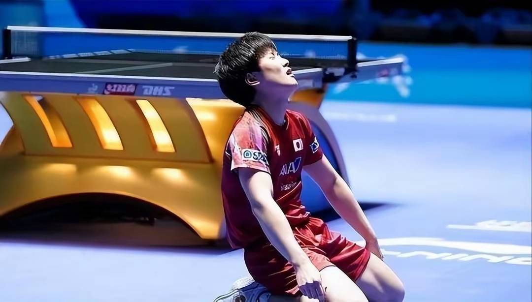 日本队力克波兰队，张本智和状态火热