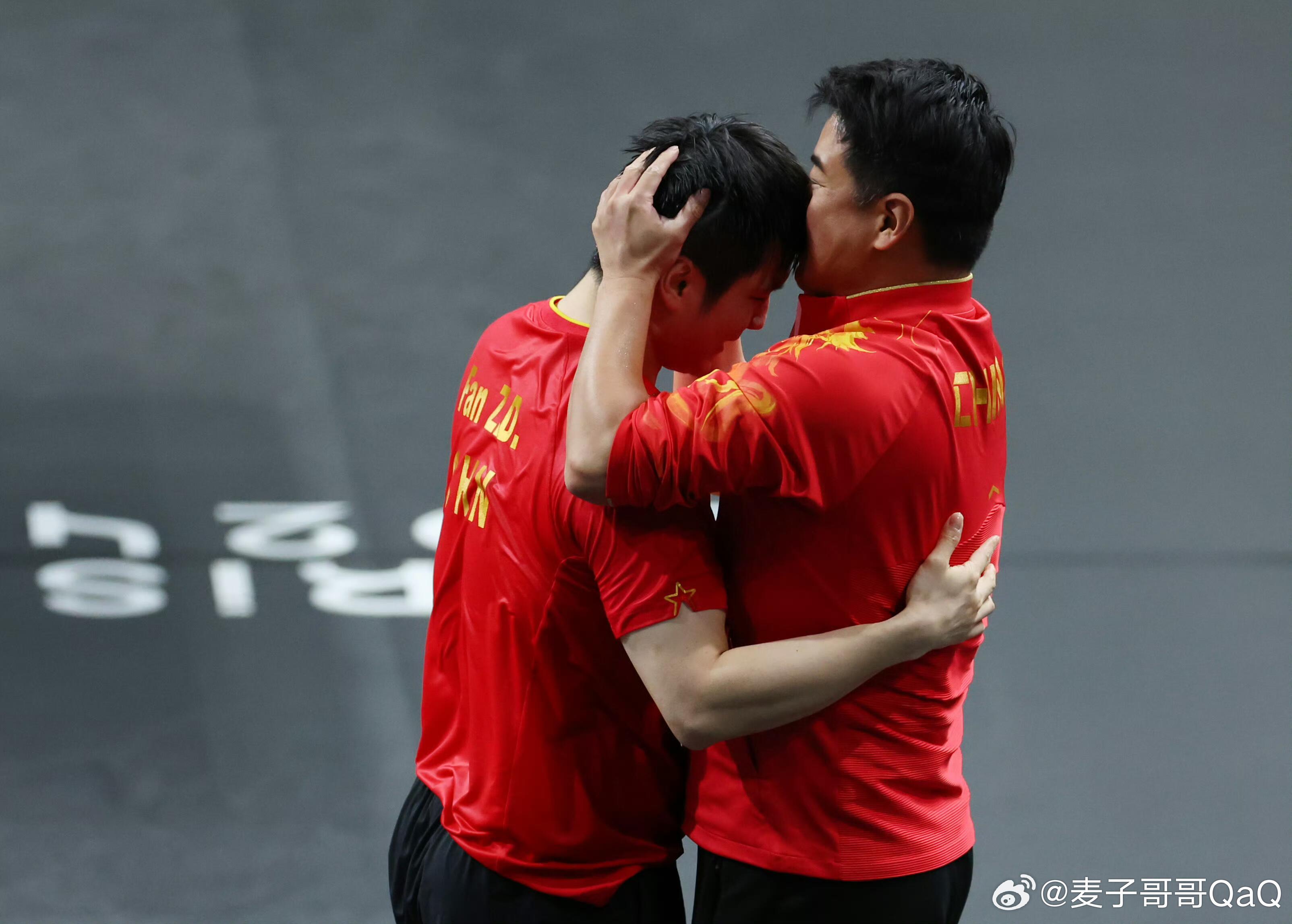 瑞典队横扫德国队，樊振东带队取胜