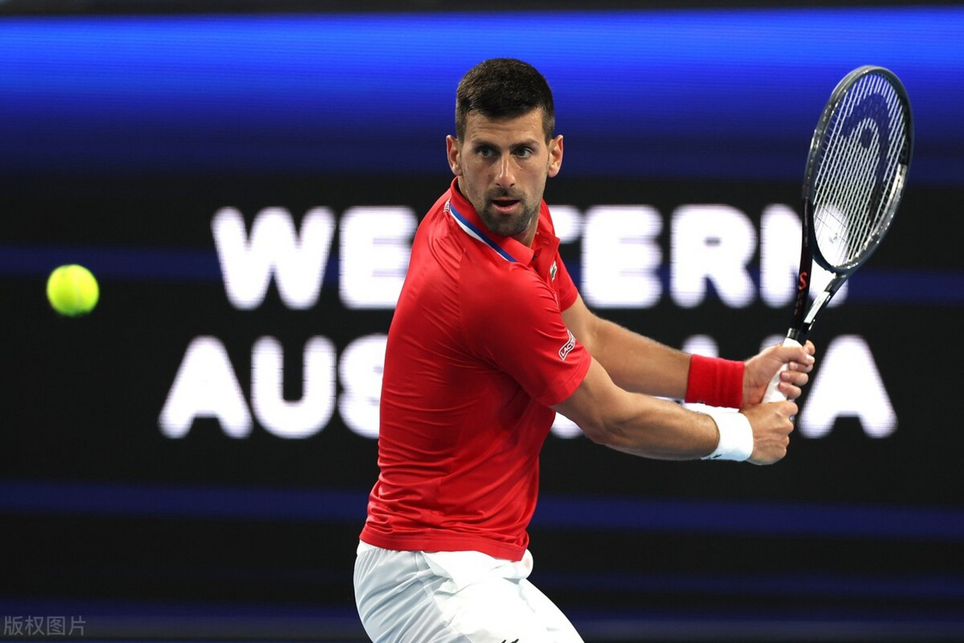 年终总决赛险胜戴维斯杯,德约科维奇关键制胜 年终总决赛险胜戴维斯杯,德约科维奇关键制胜